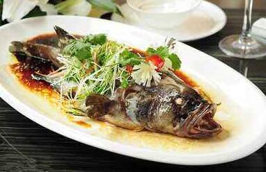 青斑魚和老虎斑哪個(gè)營養(yǎng)價(jià)值更高?